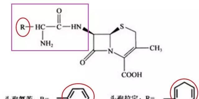 头孢类抗生素侧链相似度一览表