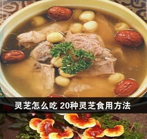 灵芝怎么吃 20种灵芝食用方法