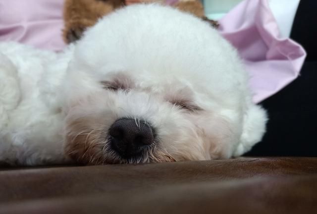 睡眠呼吸暂停综合征的分类，病因和发病机制
