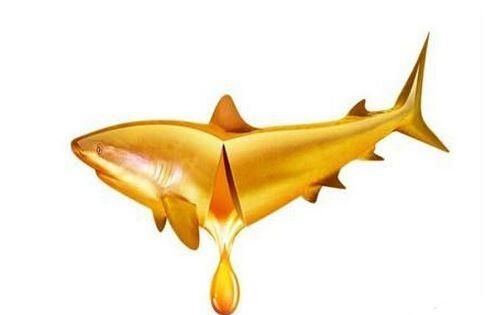鱼油和深海鱼油有区别吗图2