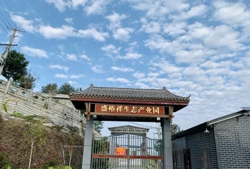 百县百品｜喝泉水、吃桑叶、听音乐，坝河镇富硒桑叶鸡蛋供不应求