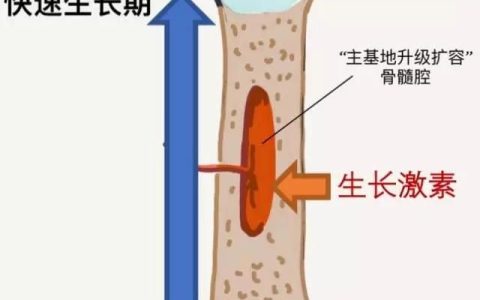田七海马炖鸡汤有助于长高吗