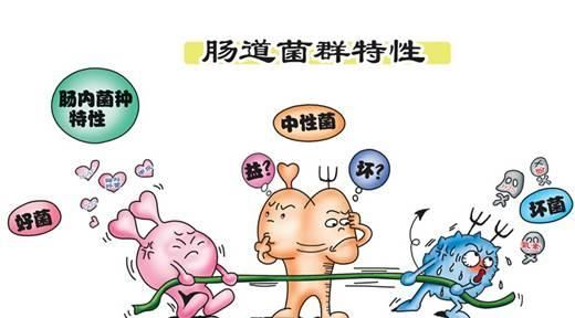 双歧杆菌乳杆菌三联活菌片有副作用吗图1