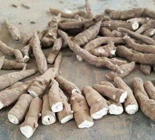 雪上一枝蒿有什么作用,雪上一枝蒿的功效与作用图2