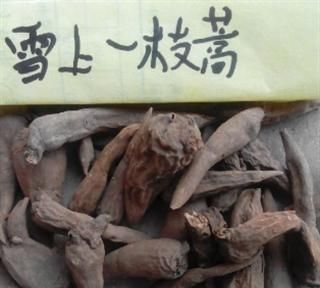 雪上一枝蒿有什么作用,雪上一枝蒿的功效与作用图4