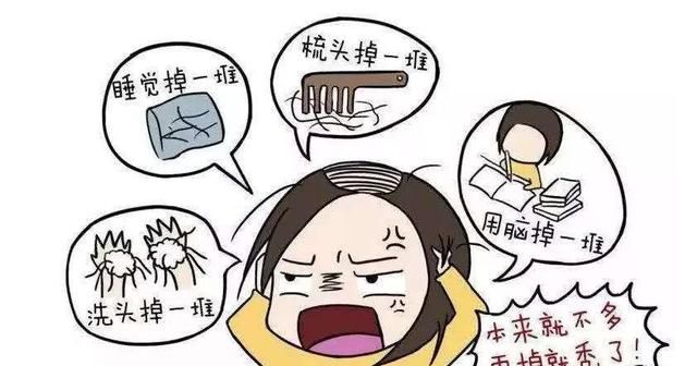 讲一味侧柏叶，防脱发、生黑发、止鼻血、止咳喘、治痔疮之良药