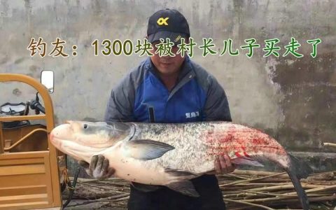 江苏花鲢鱼价格多少一斤(贾鲁河段钓友钓出21斤大花鲢)