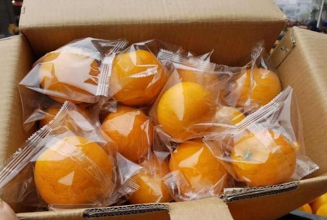 橙子皮加生姜，作用拿钱都难买，解决了很多人的烦恼，省钱又实用