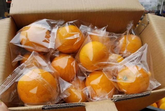 橙子皮加生姜，作用拿钱都难买，解决了很多人的烦恼，省钱又实用