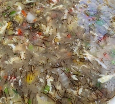 秋冬浓汤-海螺发菜羹～你这么做，比买的还好吃