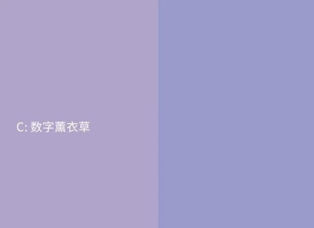 2023/2024流行发色