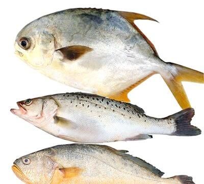 鱼怎样做好吃大全图5