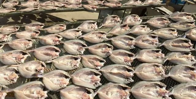 宁波人常吃的鱼鲞是什么图1