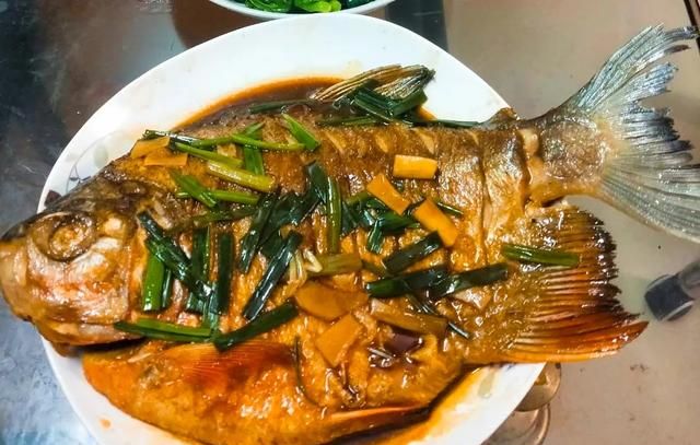 食人鱼能吃吗?味道如何形容,食人鱼身上的肉味道有多鲜美图7