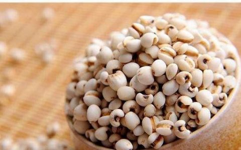 薏米芡实陈皮莲子排骨汤(红豆薏米芡实莲子红枣排骨汤)