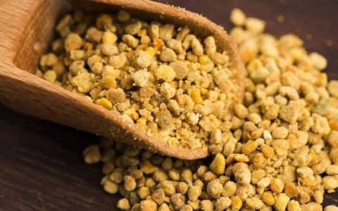 蜜蜂花粉对蜜蜂起什么作用(蜜蜂是怎么把花粉变成蜂蜜的)