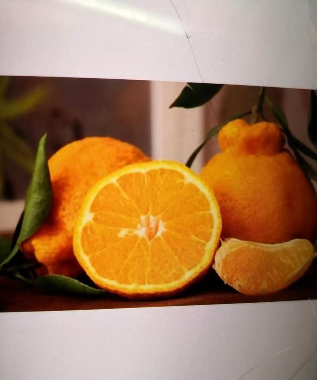 想吃橘子,市面上哪种橘子好吃呢图8