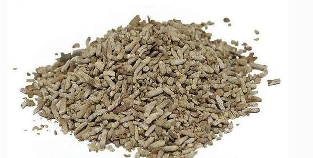 麻雀屎可以治疗什么疾病?具体怎样使用的图2