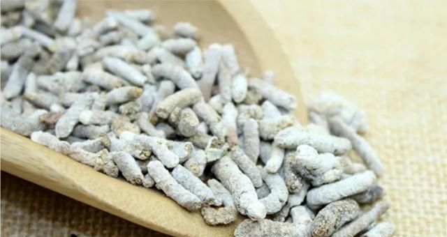 麻雀屎可以治疗什么疾病?具体怎样使用的图5