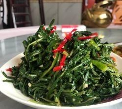 这是什么菜拍照识别(这道菜是怎么做的呢)图7