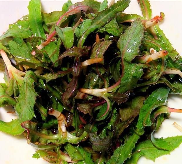 这是什么菜拍照识别(这道菜是怎么做的呢)图11
