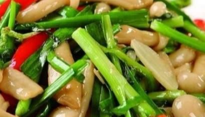 白玉菇有什么样的美味吃法图1