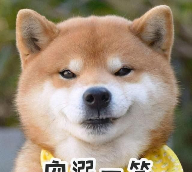 衣服上的杨梅汁洗不掉？这5种方法清洗超有效