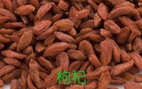 薏米枸杞水有什么功效和作用(薏米枸杞泡水喝的功效与作用)