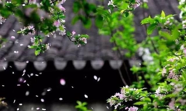 黄花菜有什么营养和功效图4
