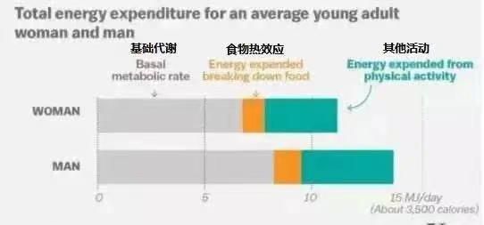 为什么越减越肥？不搞定这4个减肥真相，很难变瘦