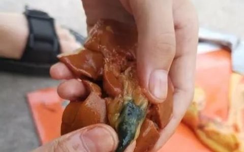 吃鸡胆有什么功效