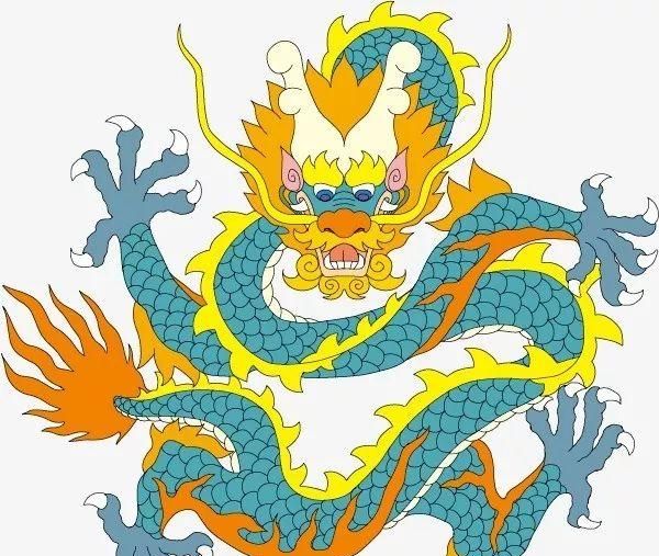 中药中的龙族 实力不可小觑