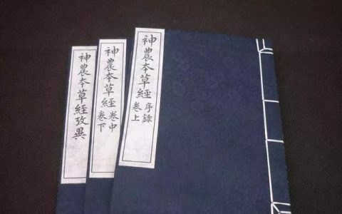 铁皮石斛简介高清图片,铁皮石斛技术
