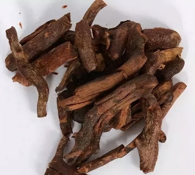 伤科要药——骨碎补