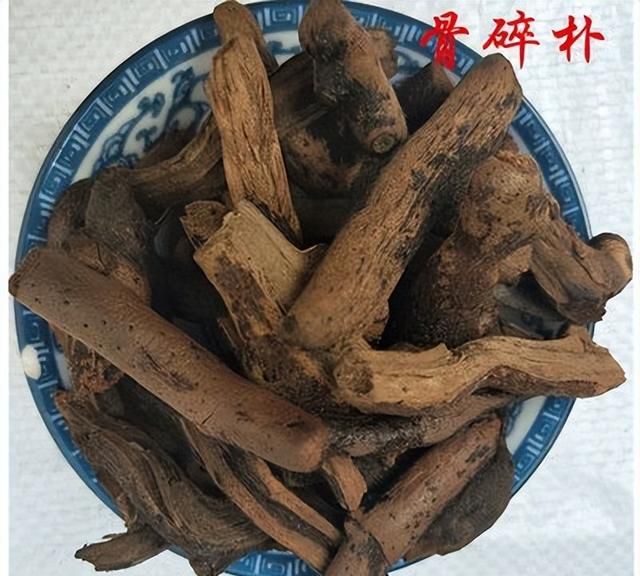 伤科要药——骨碎补