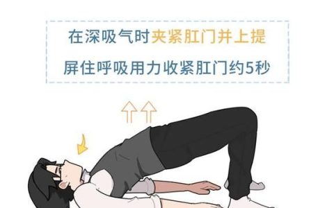 提肛动作是什么意思,缩肛运动科普