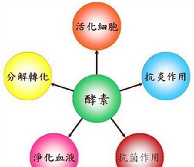 酵素好吗,酵素真的好吗图2