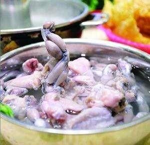 人工养殖的癞蛤蟆能吃吗可以有哪些美味吃法图4