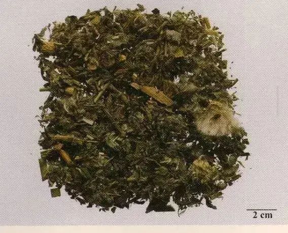 最新！200多味中药材图谱，带图带功效（第二期）