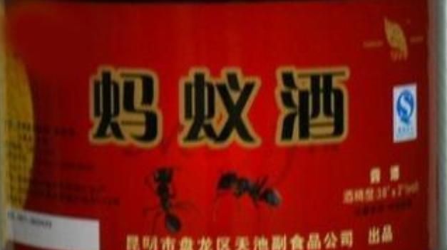 蚂蚁酒有什么功效,蚂蚁酒一次喝多少图10