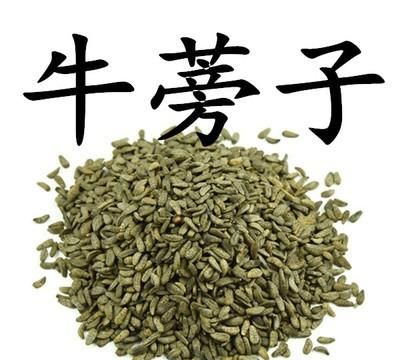 牛蒡子的功效是什么,牛蒡子根的作用与功效图1