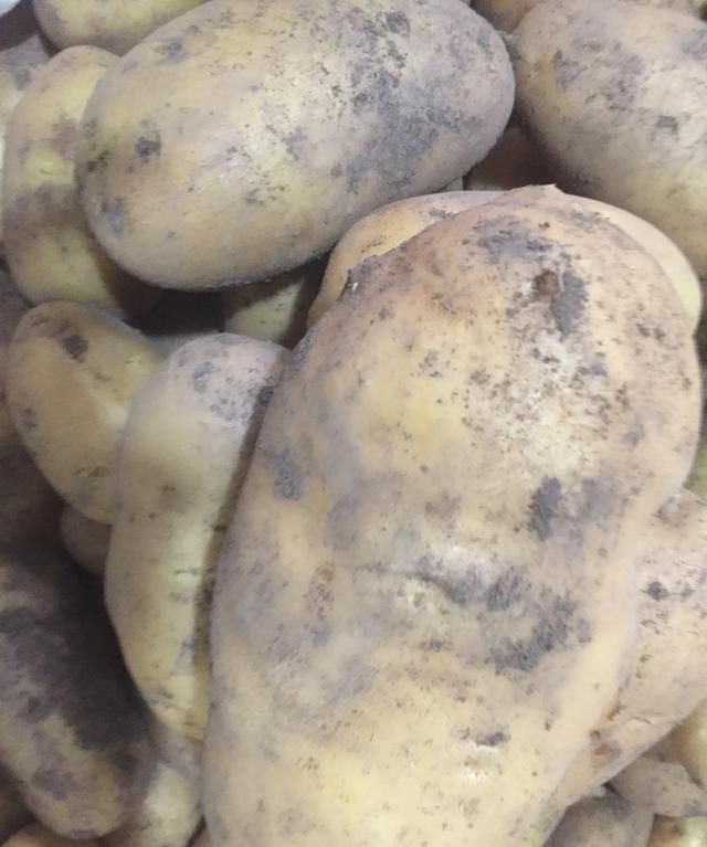 晒干的土豆片怎样保存(土豆片隔夜泡水怎么保存)图4