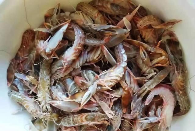 立冬前后，这6种海虾大量上市，最便宜的只需15元一斤，别错过