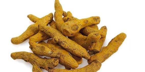 黄姜怎么栽种(怎样种黄姜药材)图1