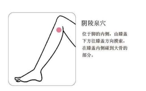穴位密码阴陵泉,阴陵泉穴和中极穴