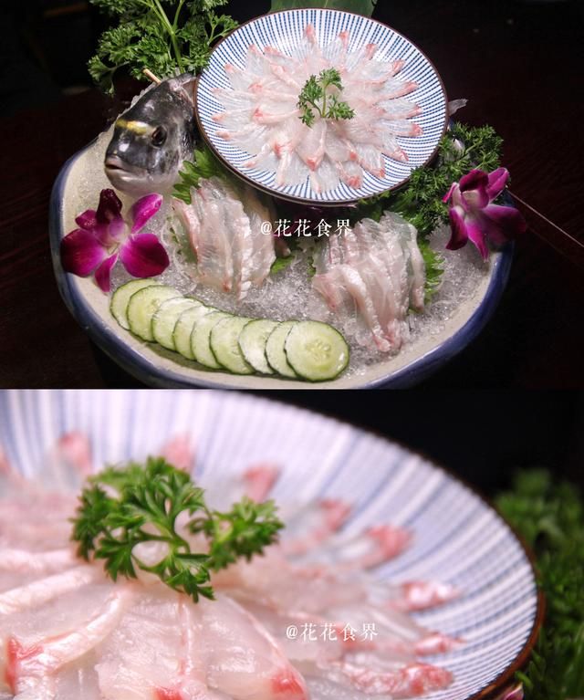 海星不只能煲汤也能做料理！传说中的海星大餐在江南西就可以吃到