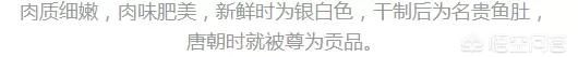 猫为什么这么爱吃鱼图23