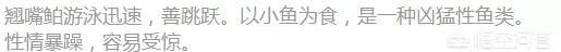 猫为什么这么爱吃鱼图36