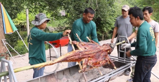 泰国男子养鳄鱼不赚钱改卖鳄鱼烤肉 太美味，游客居民争相抢食