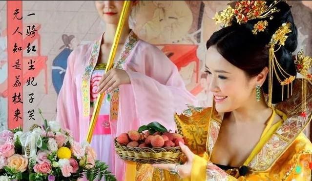 杨贵妃真的吃过鲜荔枝吗,杨贵妃吃的是新鲜荔枝吗图1